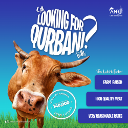 Qurbani 01